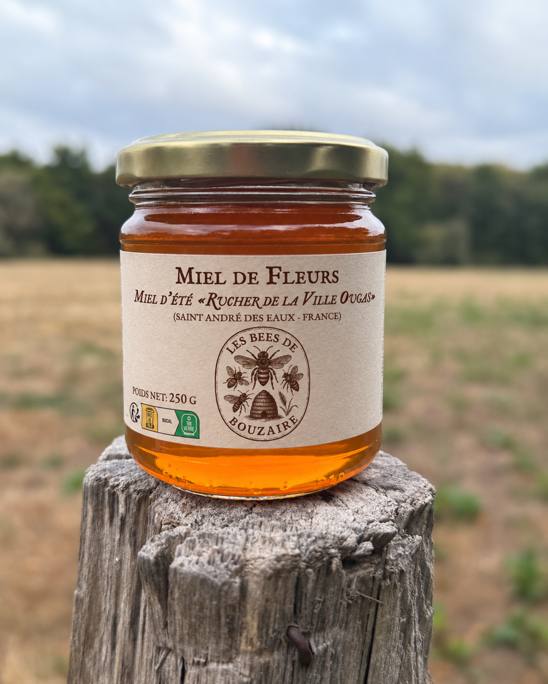 Pot de miel d'été 250 g du rucher de la Ville Ougas, pot en verre
