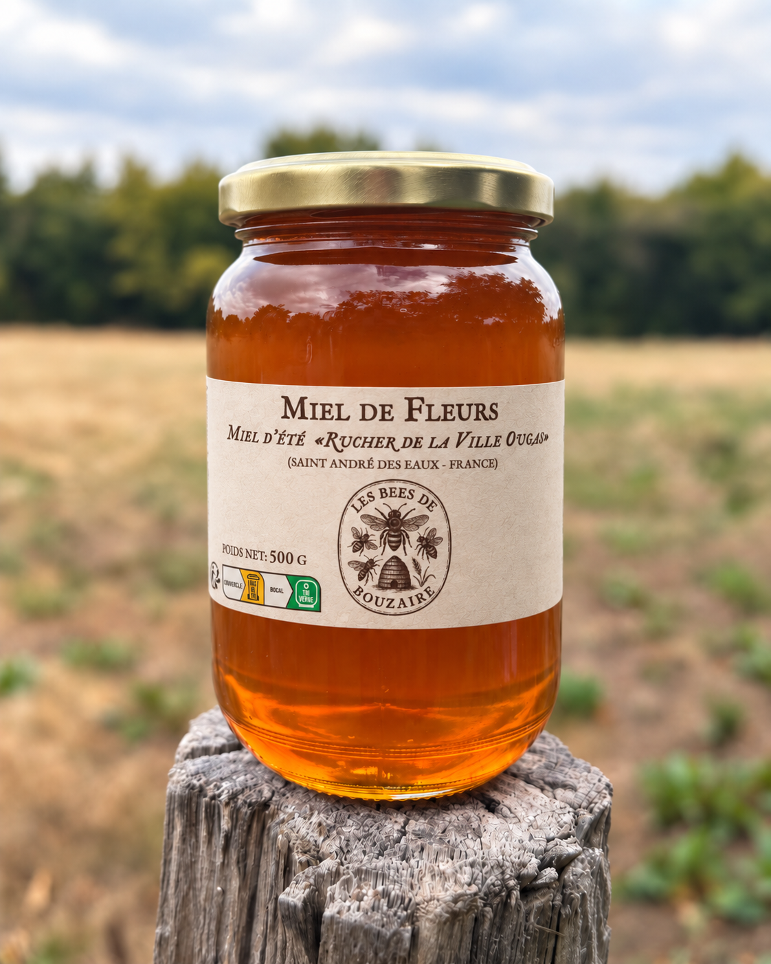 Pot de miel d'été 500 g du rucher de la Ville Ougas, pot en verre